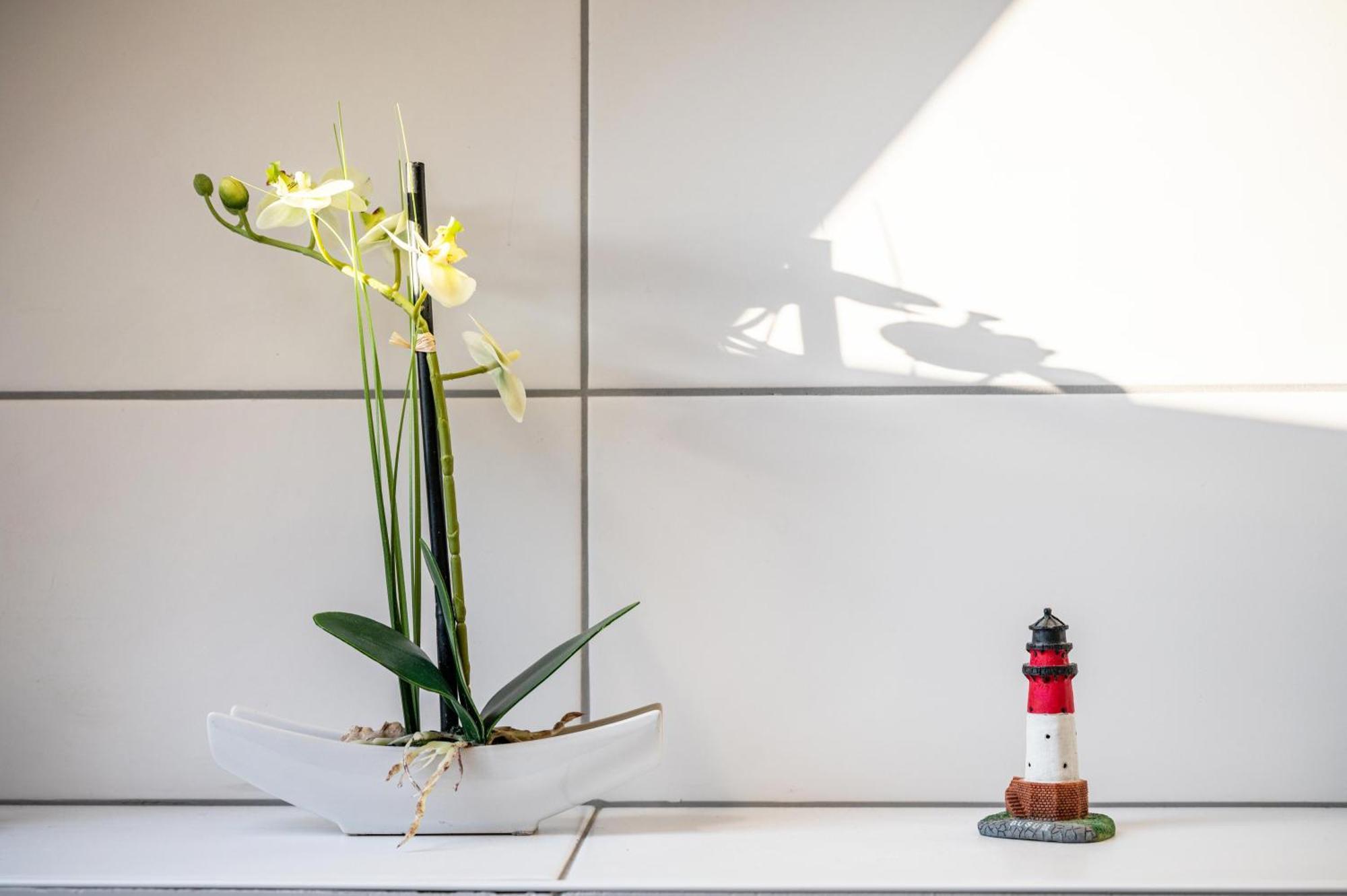 Apartament Haus Heidorn Sittensen Zewnętrze zdjęcie